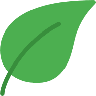 ein kleines grünes blatt