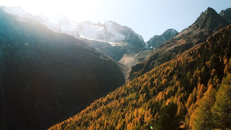 Bick in ein Alpental, Berge mit Schnee im Hintergrund, Hügel mit Bäumen im Vordergrund. Sonniges Wetter, finanzielle Freiheit. Geld investieren Schweiz